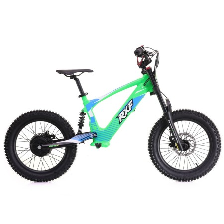 Bicicleta eléctrica 500W 18" Roan RXF EVO-Koolux.es