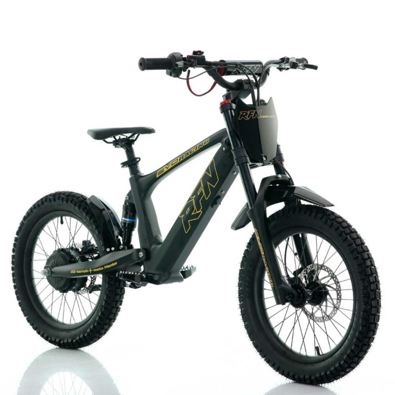 Bicicleta eléctrica  500W Roan RFN Evo Racing 18"