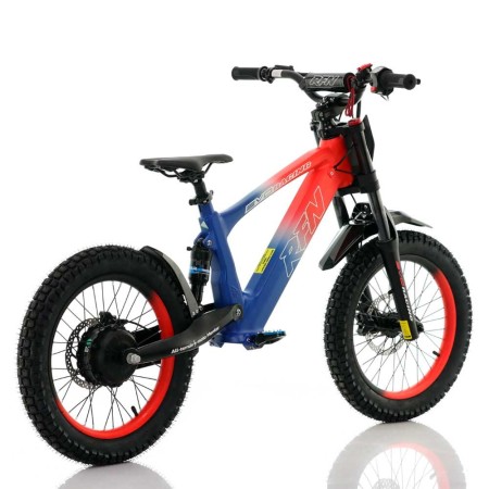 Bicicleta eléctrica  500W Roan RFN Evo Racing 18"