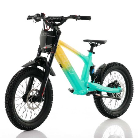 Bicicleta eléctrica  500W Roan RFN Evo Racing 18"