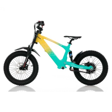 Bicicleta eléctrica  500W Roan RFN Evo Racing 18"