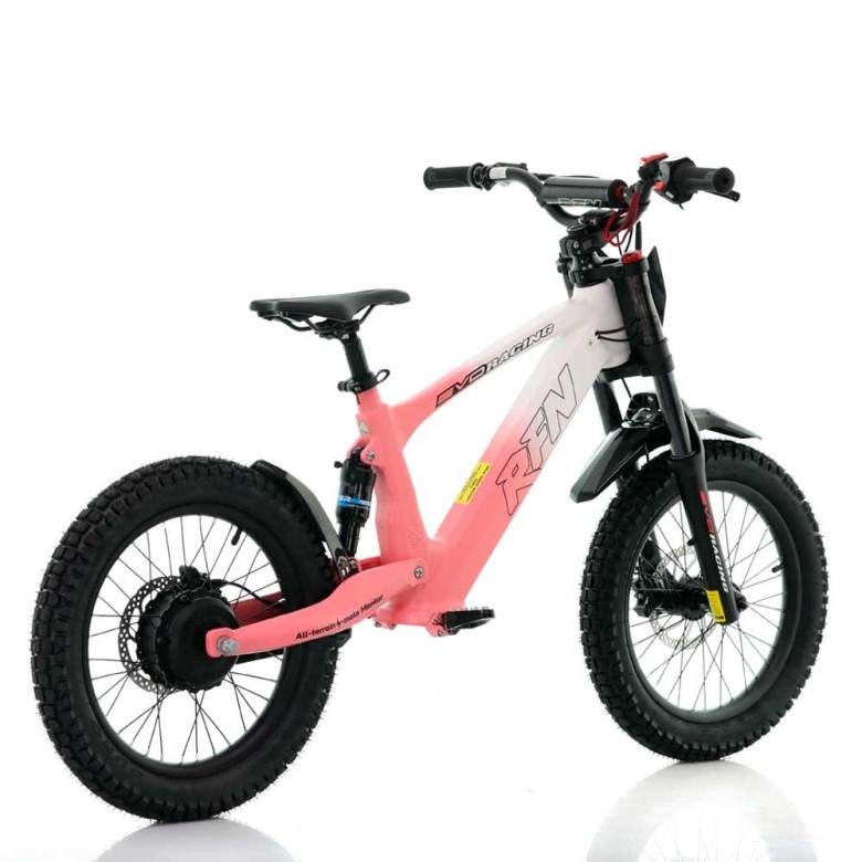 Bicicleta eléctrica ROAN RFN Evo Racing 750W 20"