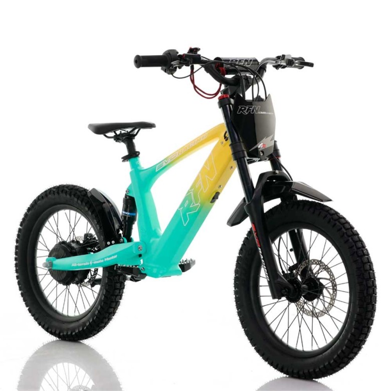 Bicicleta eléctrica ROAN RFN Evo Racing 750W 20"