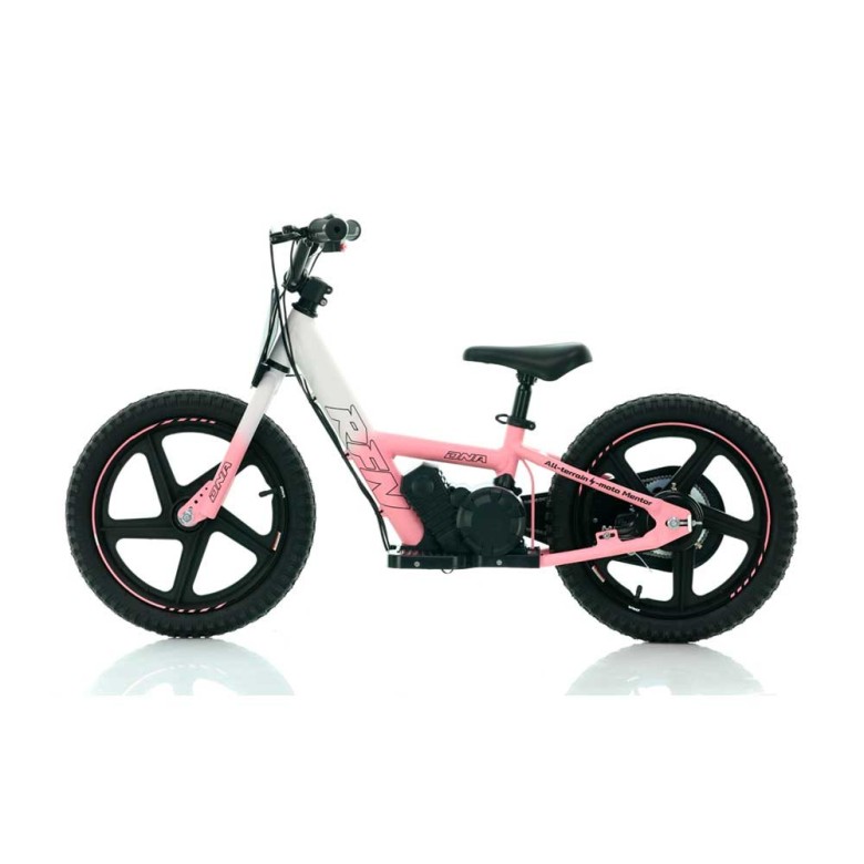 Bicicleta eléctrica niño 16" 170W RXF Sedna – Roan