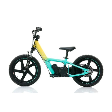 Bicicleta eléctrica niño 250W 16" Pro Roan RFN DNA