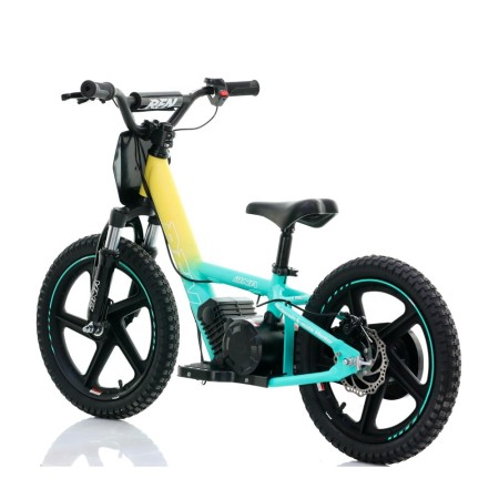Bicicleta eléctrica niño 250W 16" Pro Roan RFN DNA