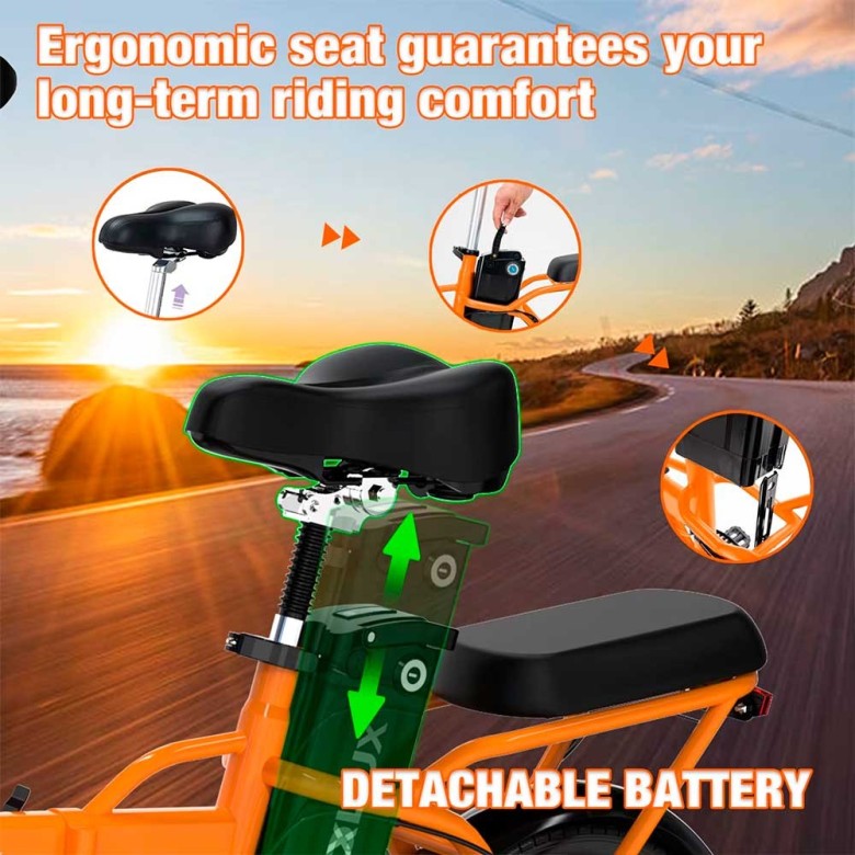 Bicicleta eléctrica plegable KOOLUX BK5S 250W 36V 10.4Ah