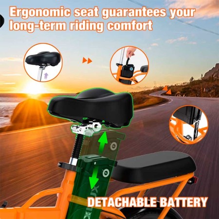 Bicicleta eléctrica plegable KOOLUX BK5S 250W 36V 10.4Ah