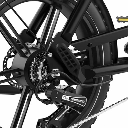 Bicicleta eléctrica KOOLUX X9 PRO 250W doble batería 48V 31,2AH