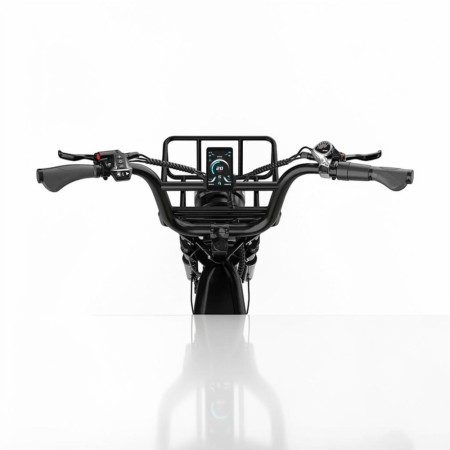 Bicicleta eléctrica KOOLUX X9 PRO 250W doble batería 48V 31,2AH