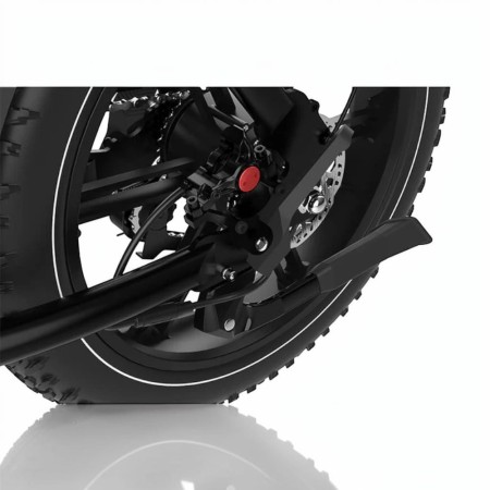 Bicicleta eléctrica KOOLUX X9 PRO 250W doble batería 48V 31,2AH